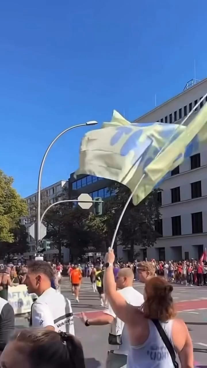 El seguimiento de la carrera de Harry Styles