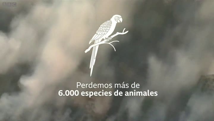 Cuales serian las consecuencias para el planeta si perdemos el Amazonas. Fuente: BBC