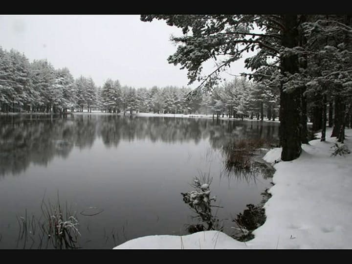 Los Visitantes: Gris Atardecer - Fuente: Youtube