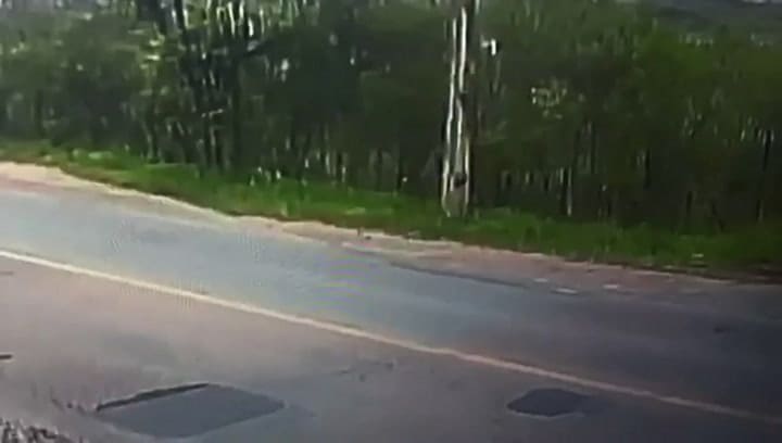 Un auto choca contra un poste y se parte en dos - Fuente: Youtube