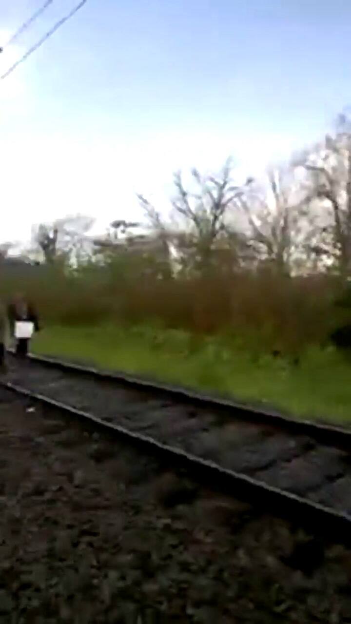 El tren Roca, con servicio reducido hasta Berazategui por la caída de un árbol