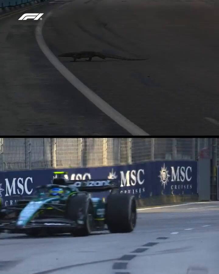 Las redes sociales de la Fórmula 1 compilaron las dos apariciones del lagarto en la pista