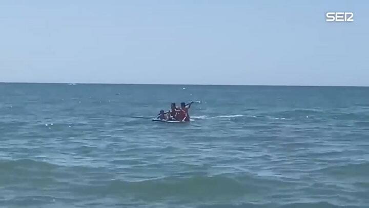 El susto de un grupo de turistas de una playa de España tras la aparición de una orca cerca de la co