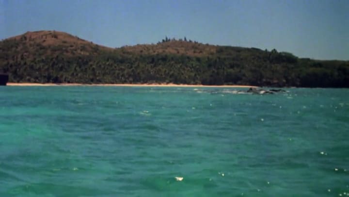 La laguna azul, tráiler oficial