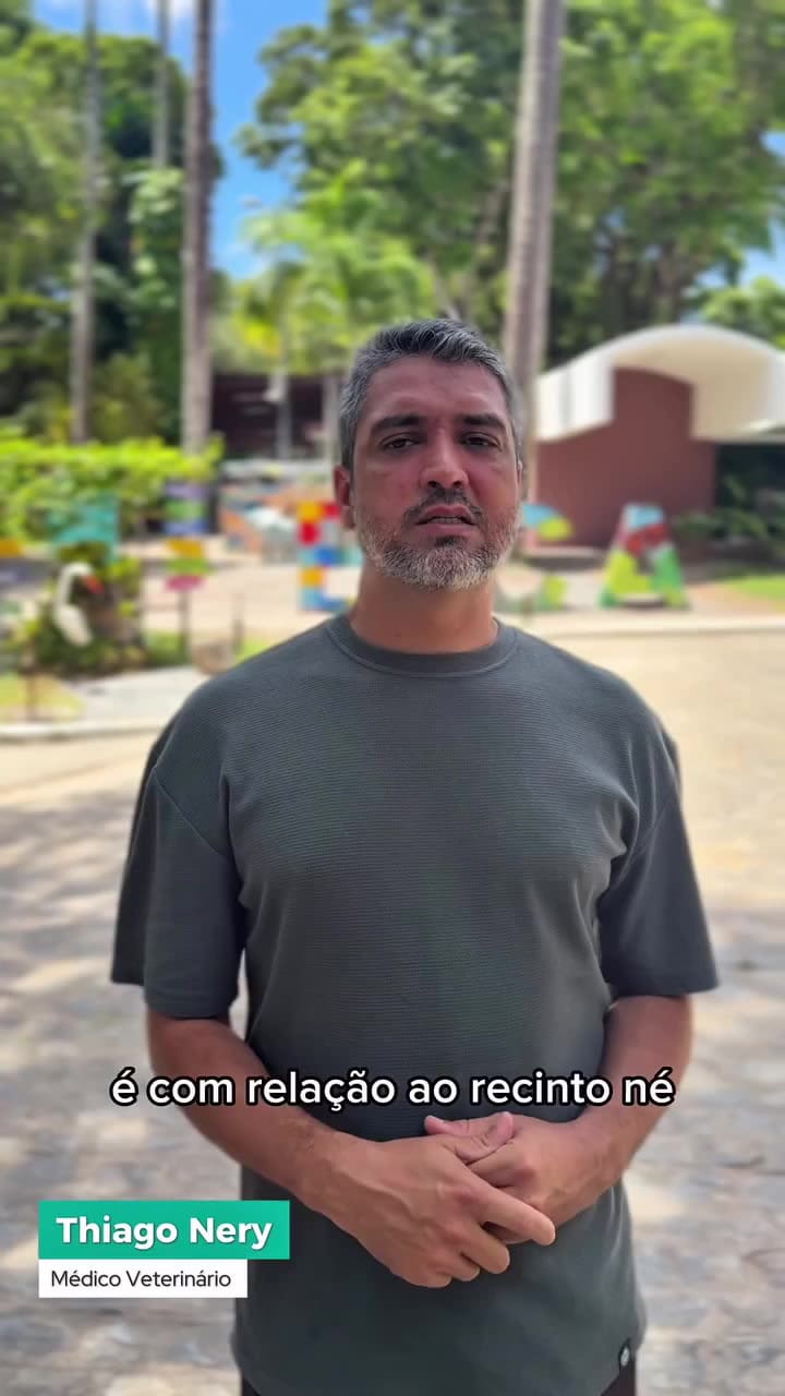 El veterinario aseguró que la leona está "en shock" tras el incidente por el cual mató a un joven que entró a su jaula