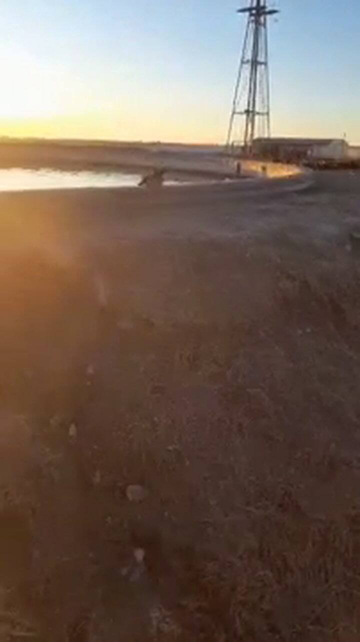 Desde El Mar Hecho Hielo Hasta Un Pato Congelado Las Impactantes Imágenes Del País Bajo Cero Tn