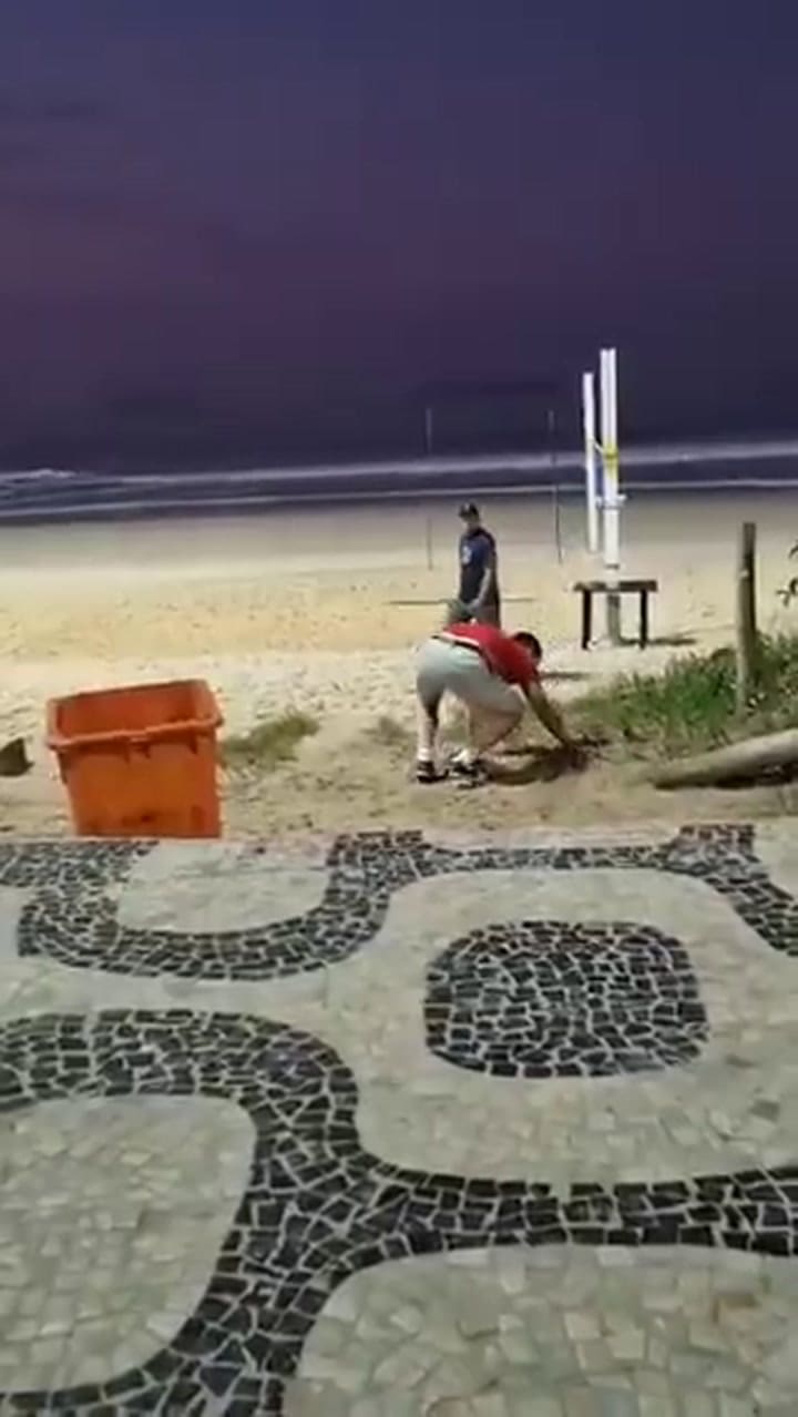 El momento en que uno de los turistas británicos cae desmayado