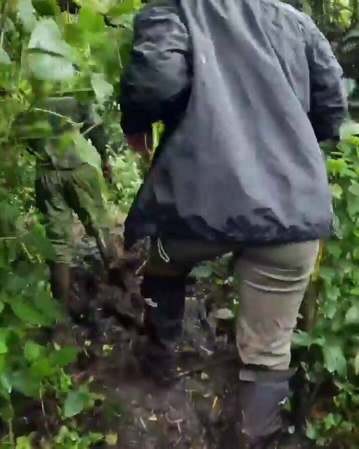 Wanda Nara compartió fotos y videos desde Rwanda