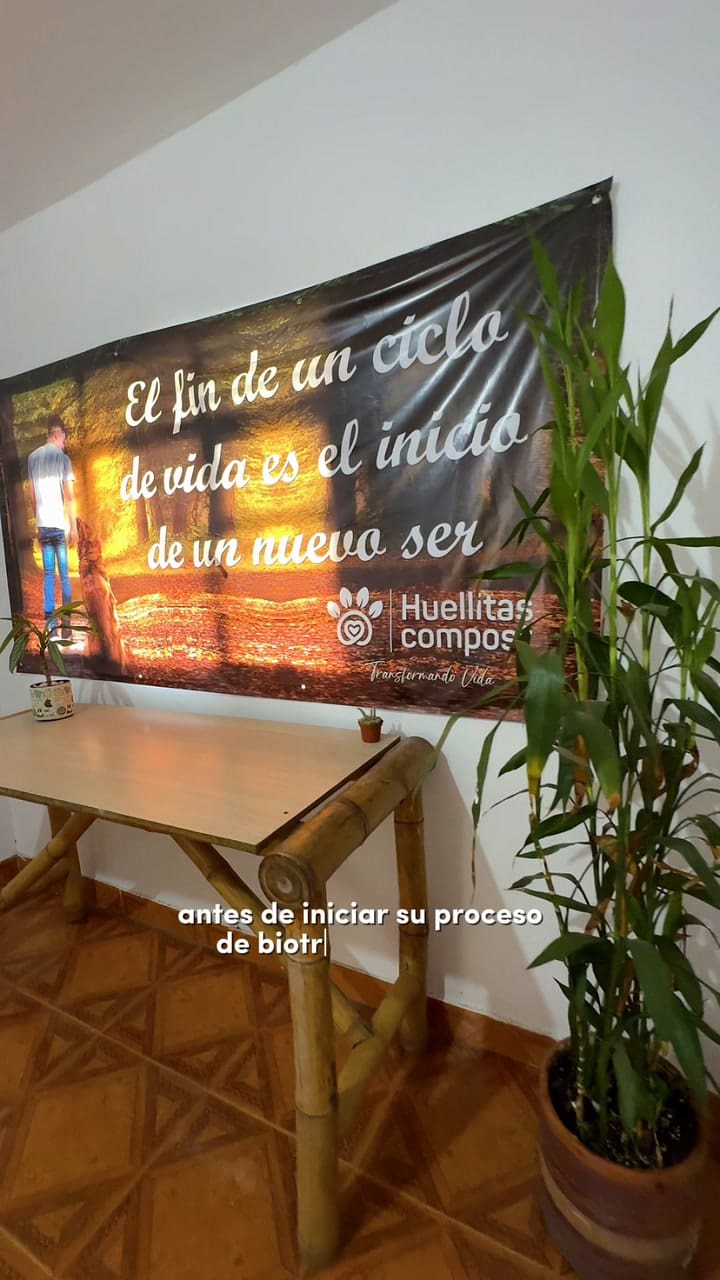 ¡Te Invitamos A Conocer Una Funeraria Natural Para Mascotas!