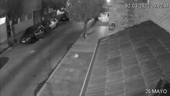Golpearon y arrastraron por la calle a una mujer para robarle el auto en Vicente López