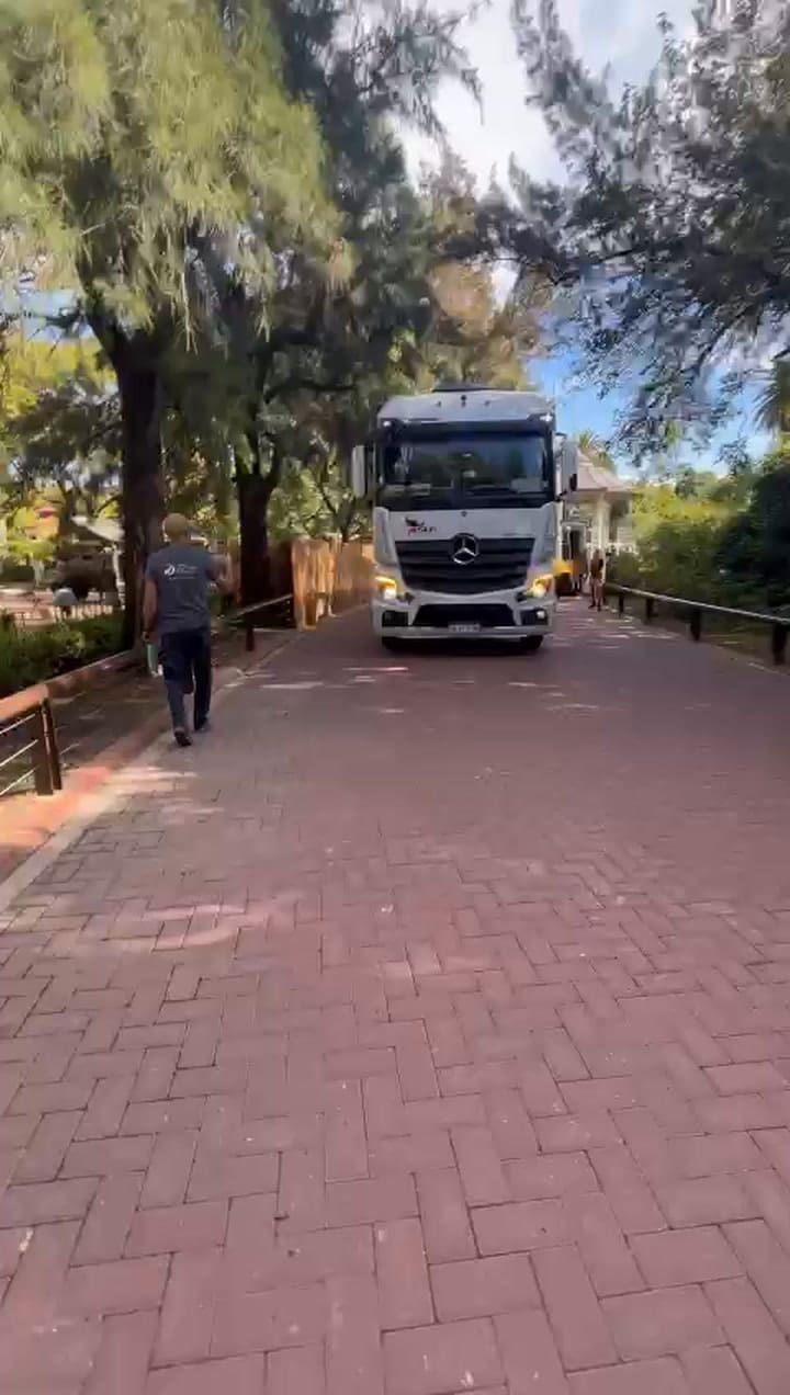 Salida de la elefanta Pupy del ecoparque de Buenos Aires