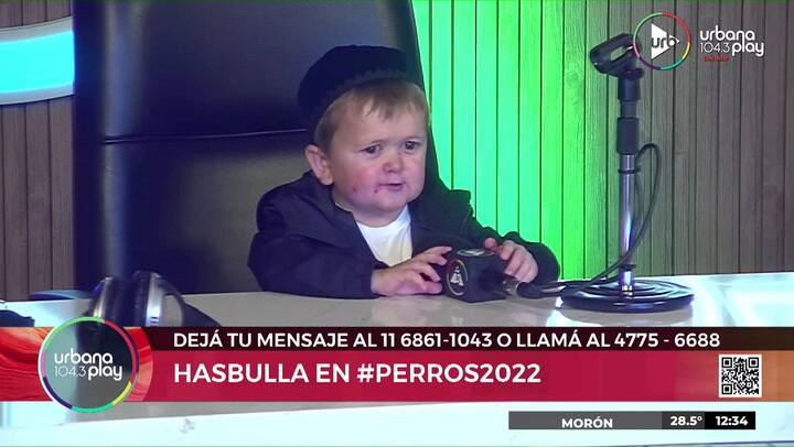La curiosa respuesta de Hasbulla sobre su show en el Gran Rex
