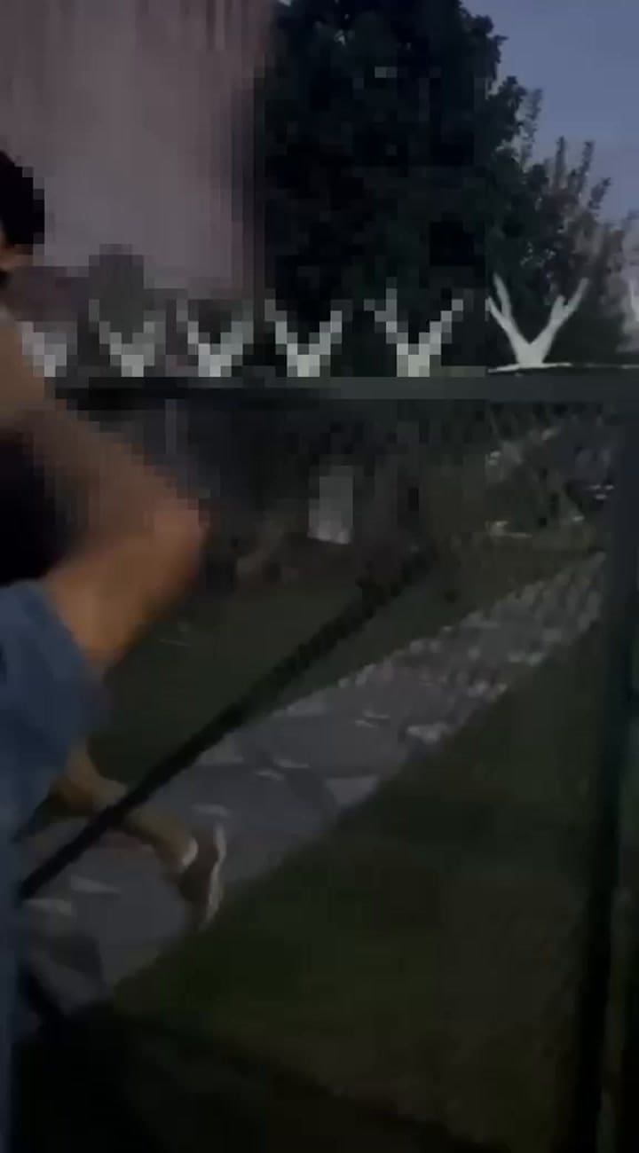 El video compartido por la mujer en donde asegura que su sobrino intentaba escapar de la casa de la madre