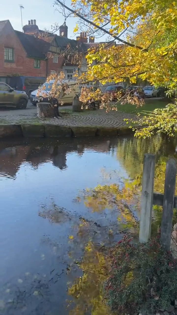 La hija de Jude Law en El descanso recorre los lugares donde se filmó la película