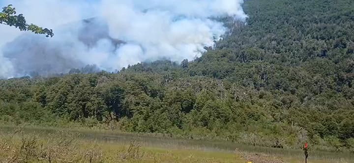 Incendios en el Parque Nacional Nahuel Huapi