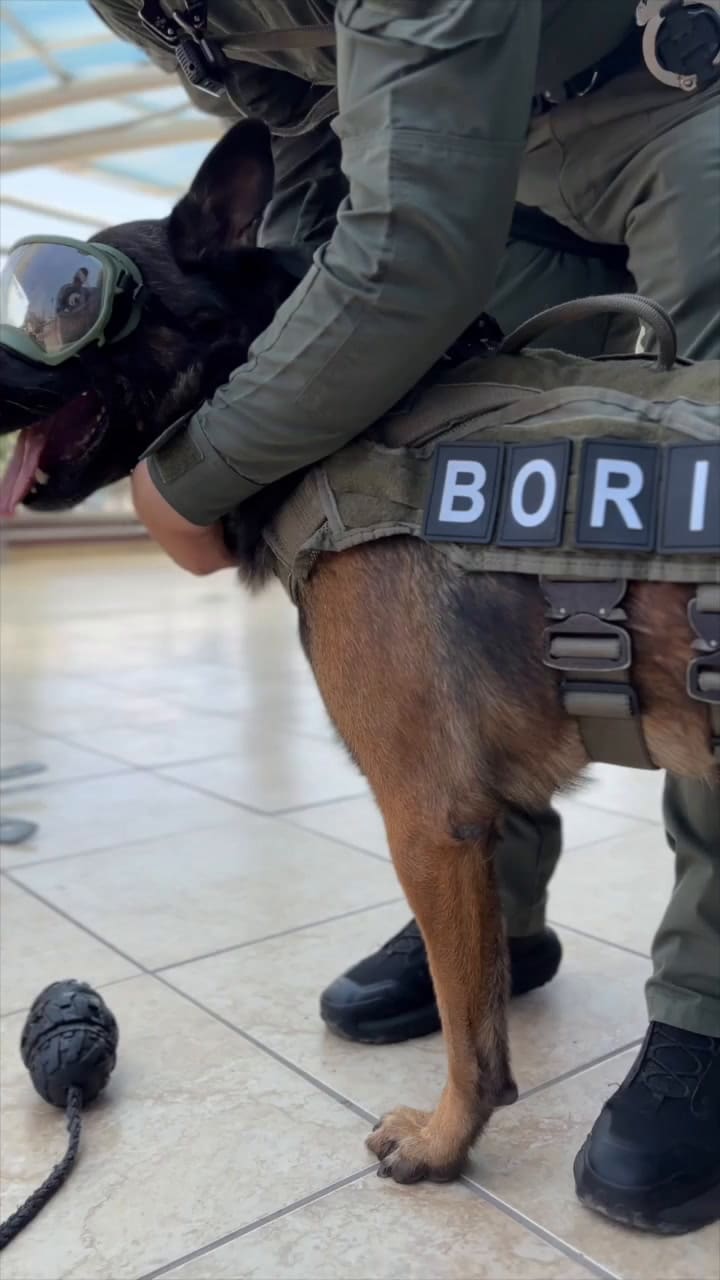 Aqmlt7dx8s799iayslp8bzdety9npnjyzogtmxy8oksewgrr0nck6pyajbhathsruy9qnugotoyvxcqsquqbzv8g