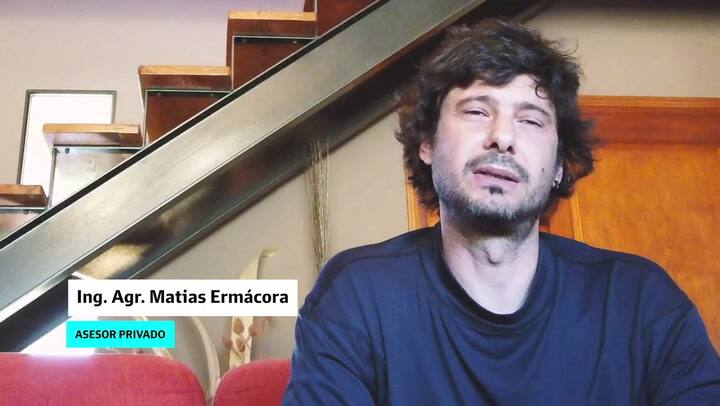 LN Syngenta - Matias Ermácora