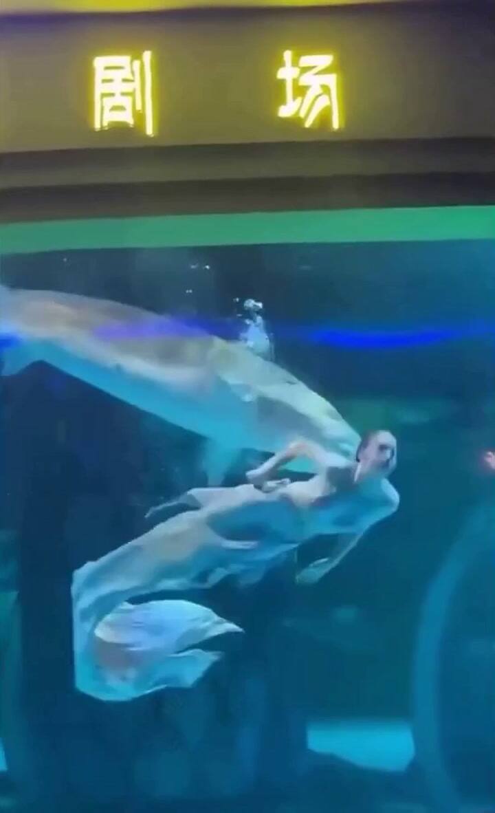 El estremecedor momento en el que un pez le mordió la cabeza a una mujer que trabajaba de sirena en un acuario