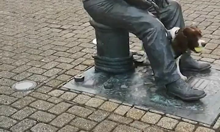 El tierno video de Chester, el perro que intenta jugar con una estatua