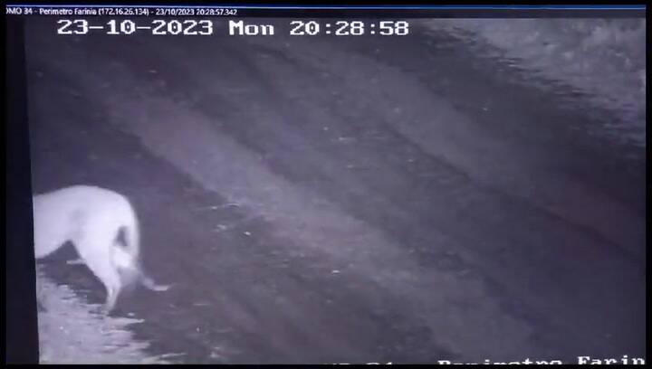 Snaptwitter 6lurmnh2tmwtzysx.m3u8 Container=fmp4