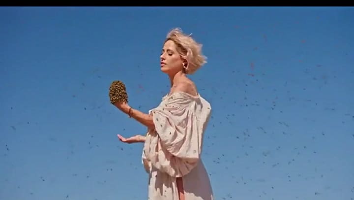 Victoria Vanucci rescató 10 mil abejas para usar en su restaurante