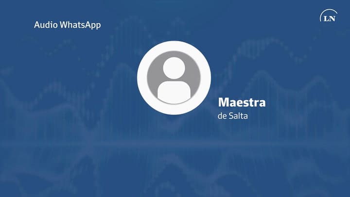 El insulto que una maestra le mandó por audio de WhatsApp a un alumno. - Fuente: Periodismo Joven