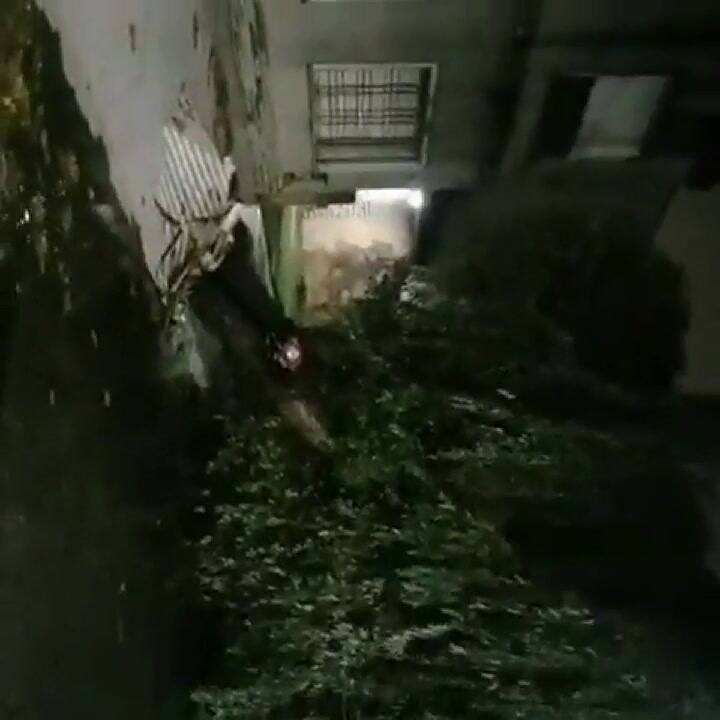 La zona sur del conurbano: árboles caídos y bolsas de residuos que volaban