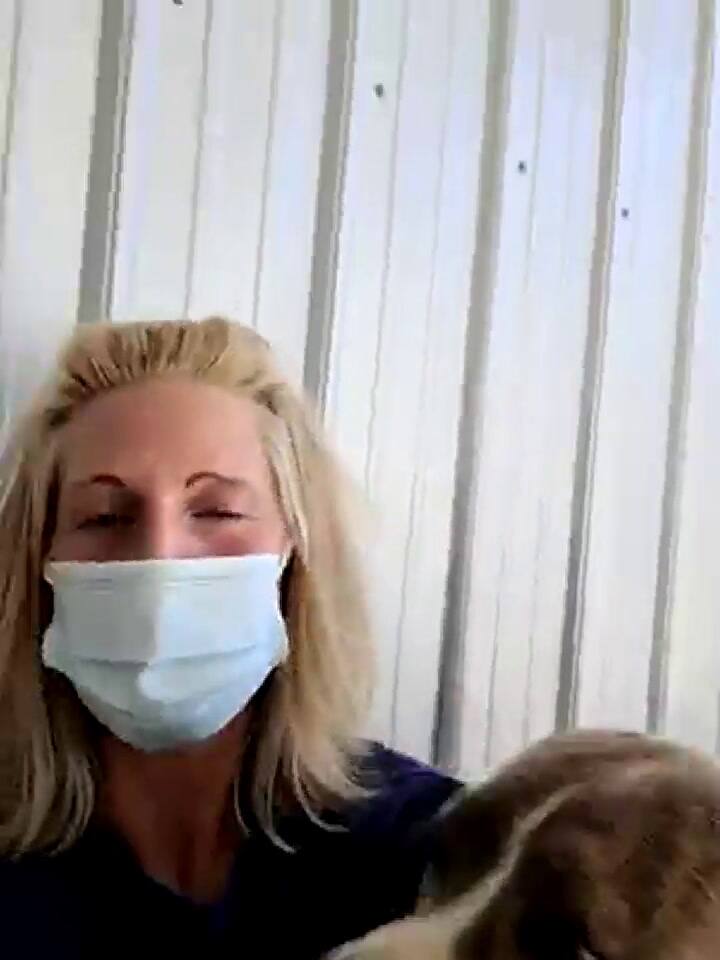 Así vivió por 12 días Kacey Widetich junto a 'Drools', hasta que consiguió que lo adoptaran - Fuente