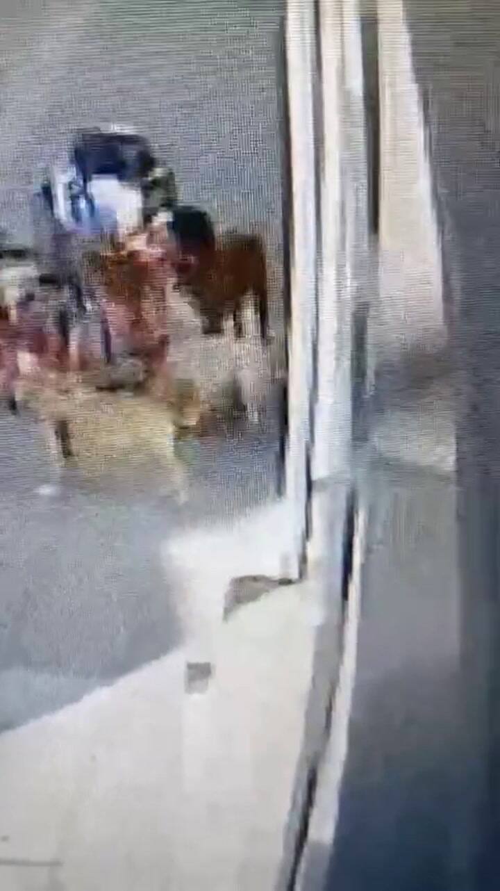 Urgente Hay Que Ubicar A Este Paseador Se Llama Leandro Serrano, Es Paseador De Vicente López, Zona Vial Costero. Máxima Difusión Para Que Este Hdp No Toque Más A Un Animal! 21-2-24estamos Cansados De Este Tipo De