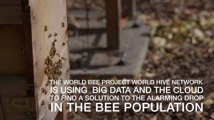 Cómo funciona una colmena inteligente conecta a la Nube - Fuente: YouTube