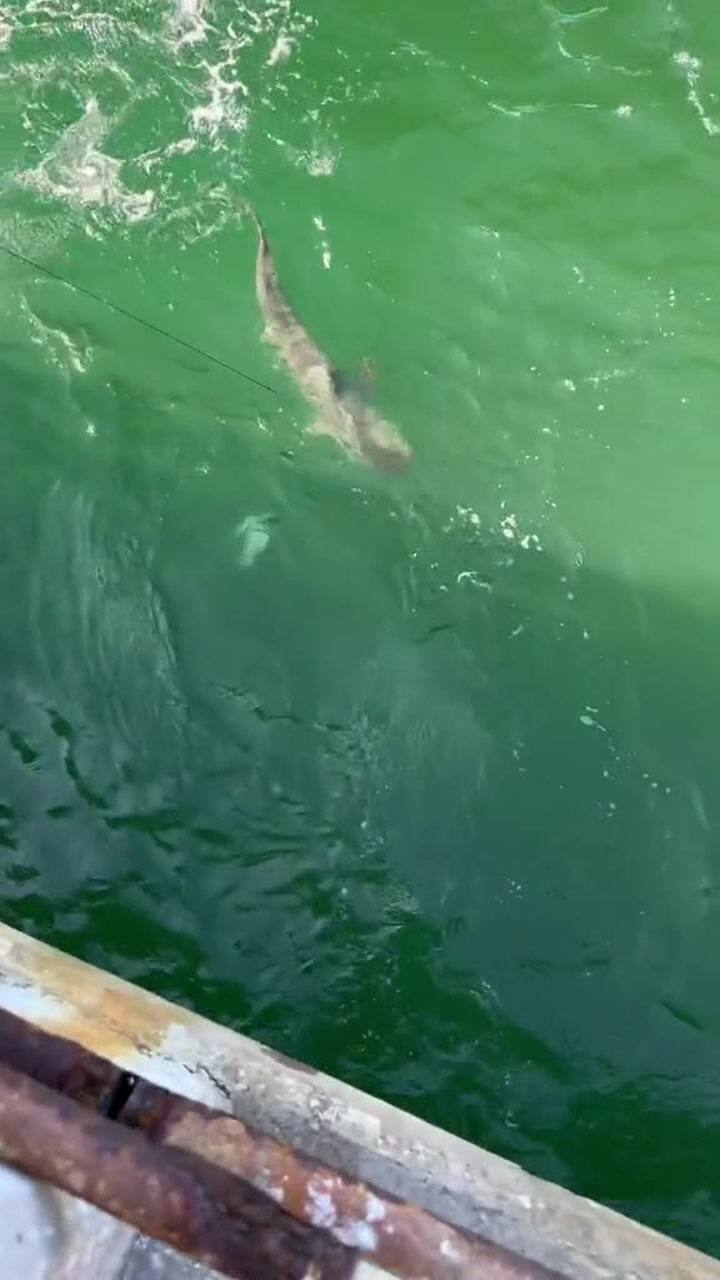 Ssstik.io 1699292524495