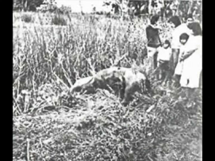 El Orejano- Jorge Cafrune. Fuente: Youtube