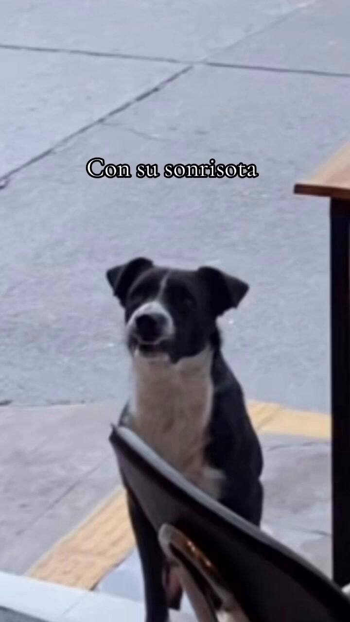 Buddys se ganó el corazón de los dueños del comercio