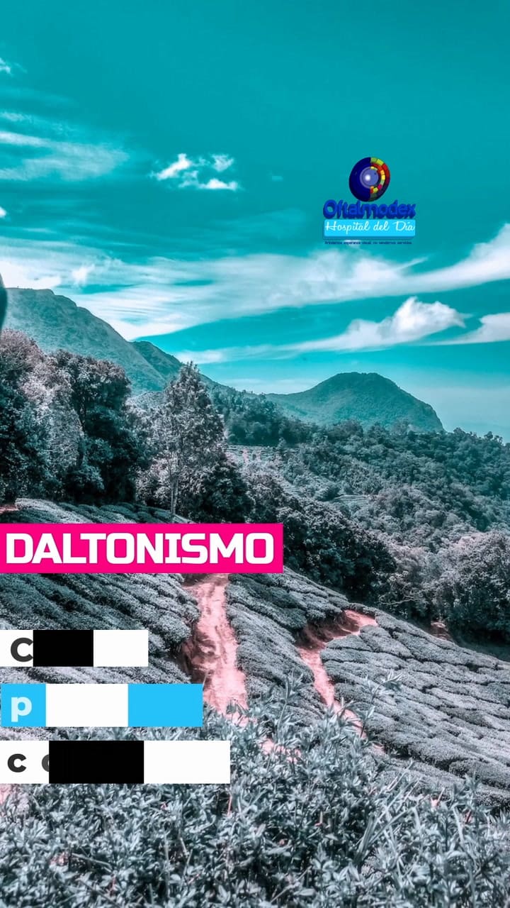 Oftalmodexhdd 7300956409309515014