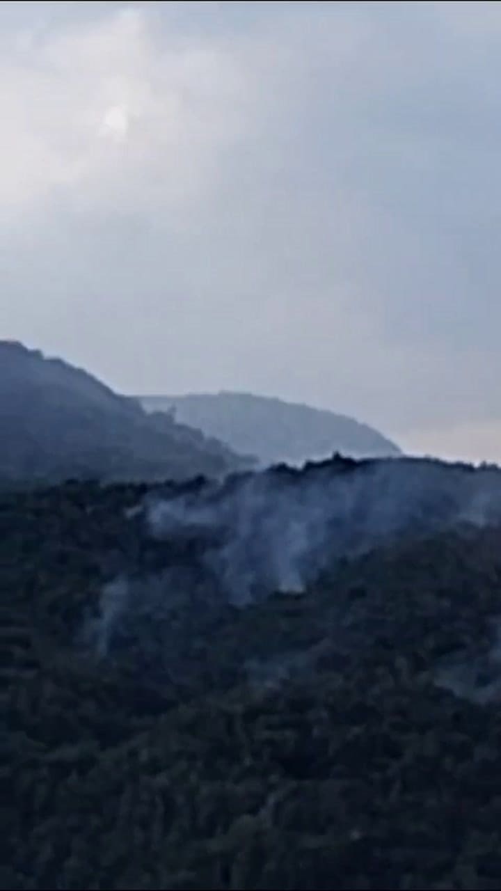 WhatsApp Video 2025-02-07 At 09.10.57