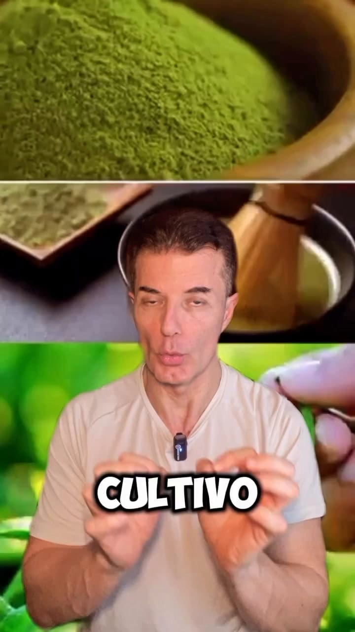 Beneficios del té de matcha