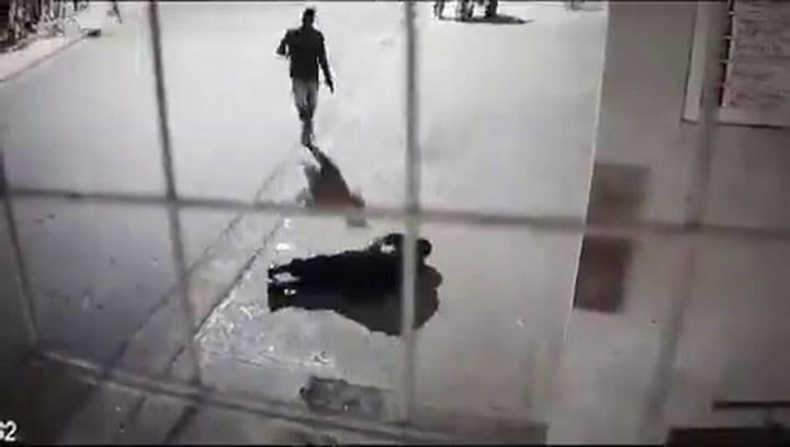 Ssstwitter.com 1700047222947