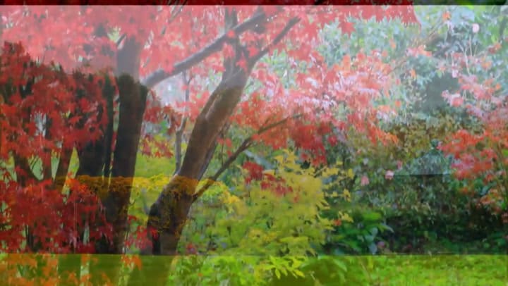 Cómo es la isla El Descanso, el lugar elegido por Macri y Macron - Fuente: YouTube