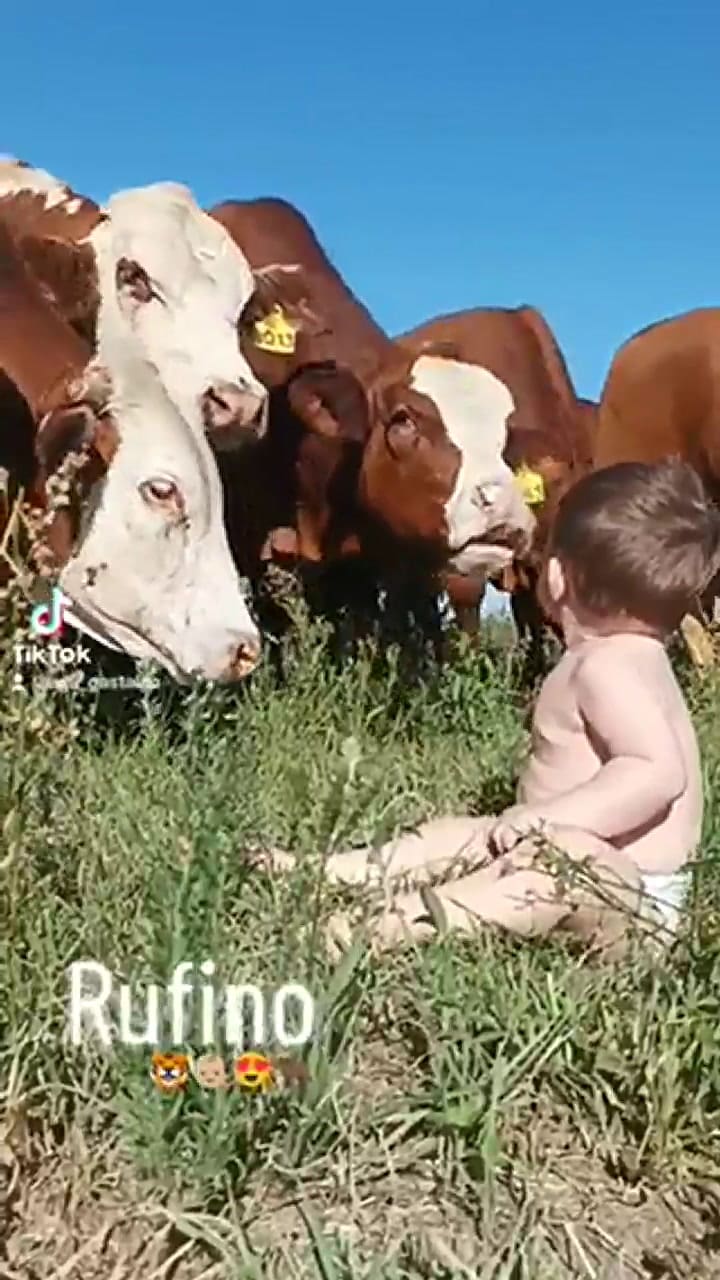 un productor agropecuario mostró el vínculo entre su hijo y la ganadería