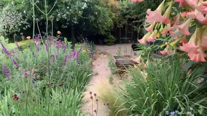 Un vaivén de las flores