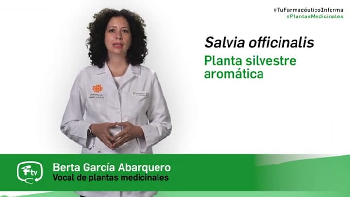 Cuándo y cómo tomar salvia