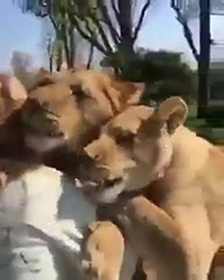 El emotivo video viral