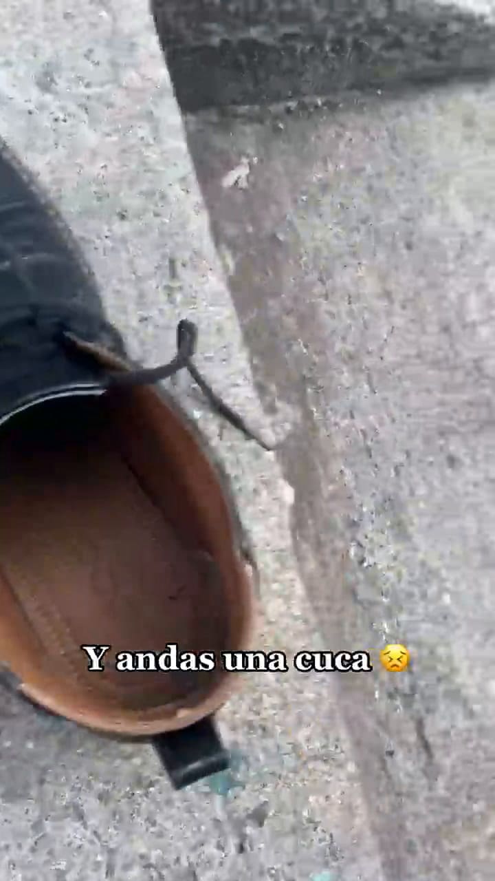 El clip que se volvió viral en TikTok