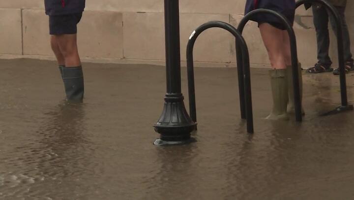 Una mujer y su bebé mueren por caída de árbol al paso de Florence - Fuente: AFP