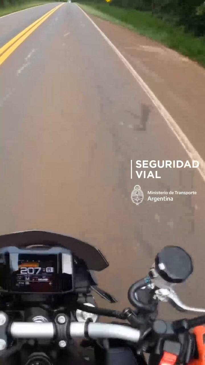 Le suspendieron la licencia a un motociclista por filmarse a más de 215km/h