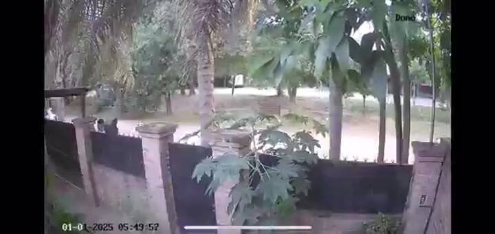 Ssstwitter.com 1736169451630 (1)