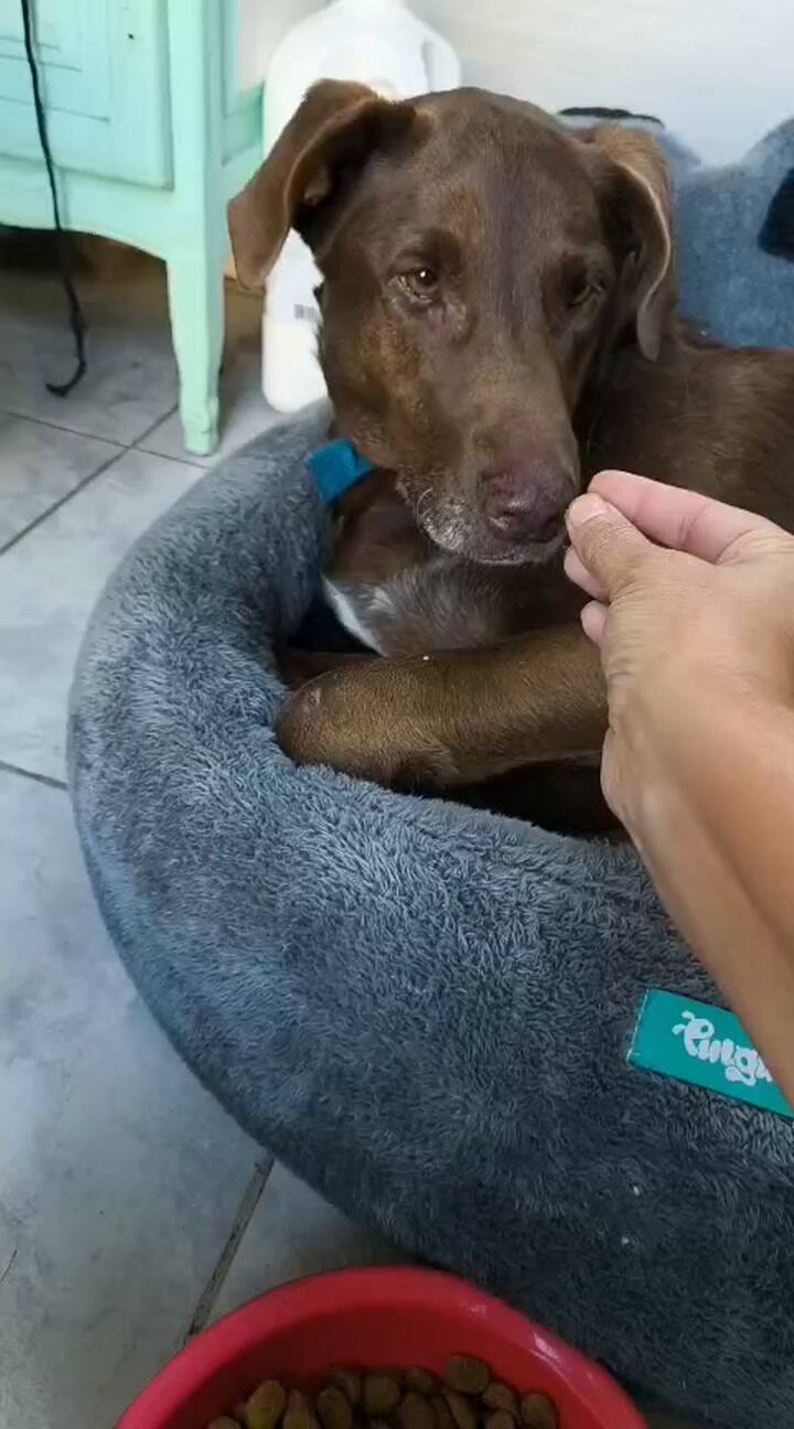 Almendra tenía hábitos hogareños