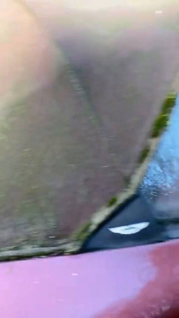 Entró a un “cementerio de autos” y no puedo creer el modelo de lujo que encontró