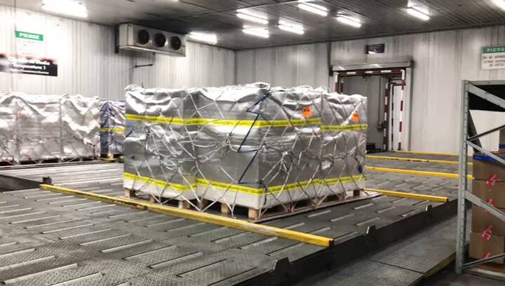 Así se envían los arándanos al exterior