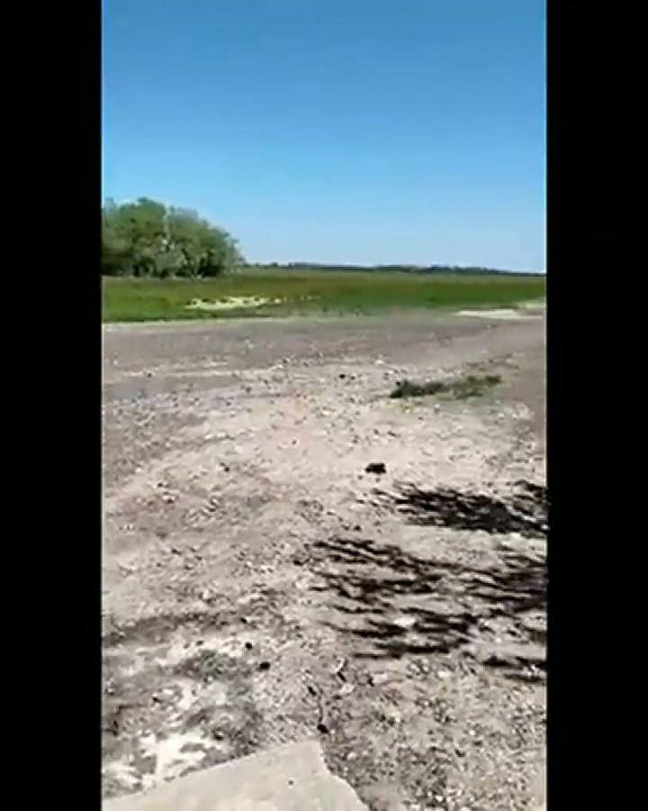 Se secó una conocida laguna de Navarro y así está hoy (Fuente video: Álvaro de Lamadrid)